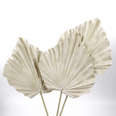 Artificial Palm Fan Spear Stem 56cmH